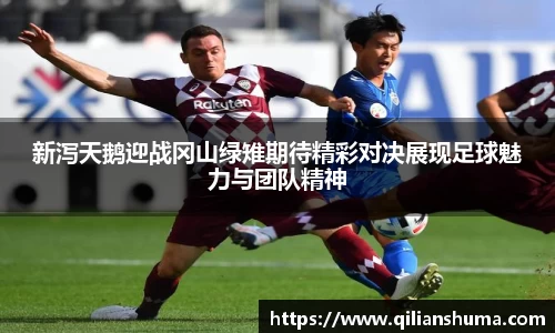 威廉希尔williamhill官方网站